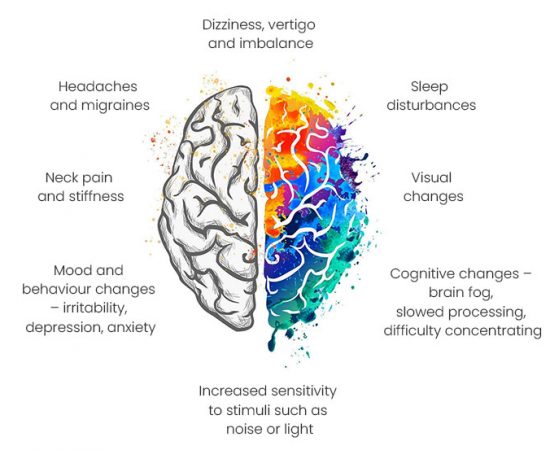 colourful brain